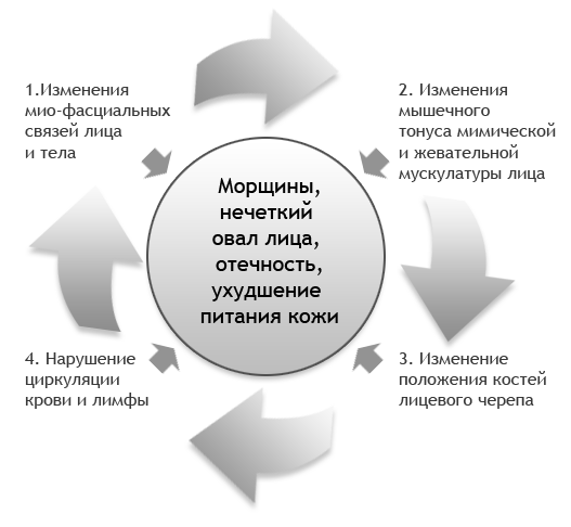 Уникальный метод Полины Лайтер  Reface Laitlift System
